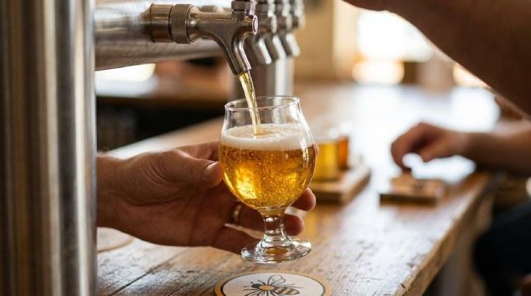 Idaho Falls Craft Beer Festival